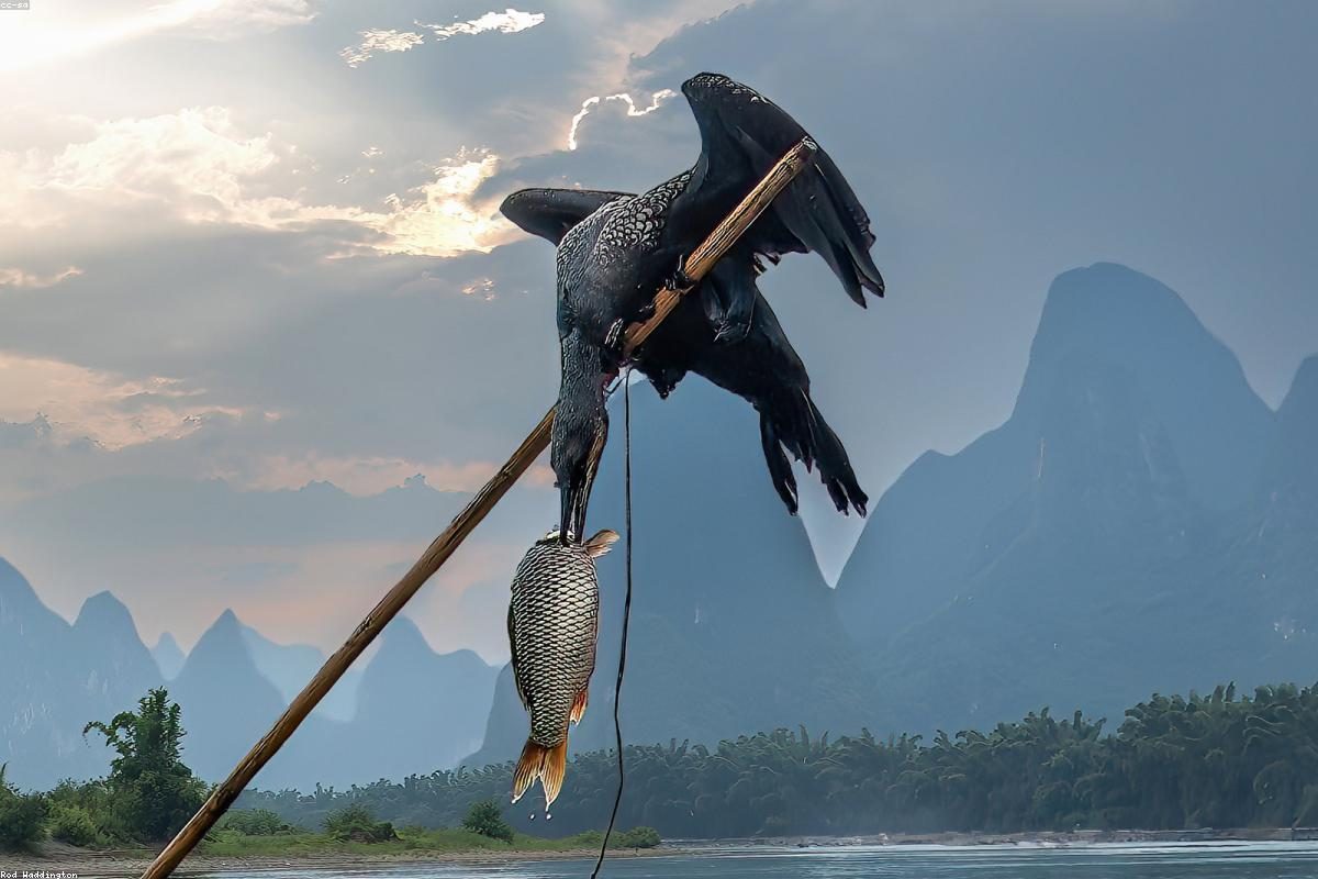 Guilin In-Depth Travel Guide: Li River and Elephant Trunk Activities + FAQ