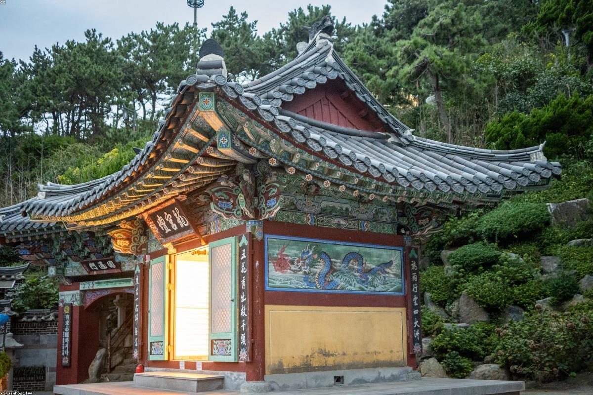 Busan In-Depth Travel Guide: Tower and Beach Activities + FAQ