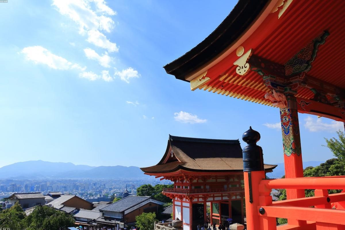 Osaka In-Depth Travel Guide: Gourmet and Castle Activities + FAQ