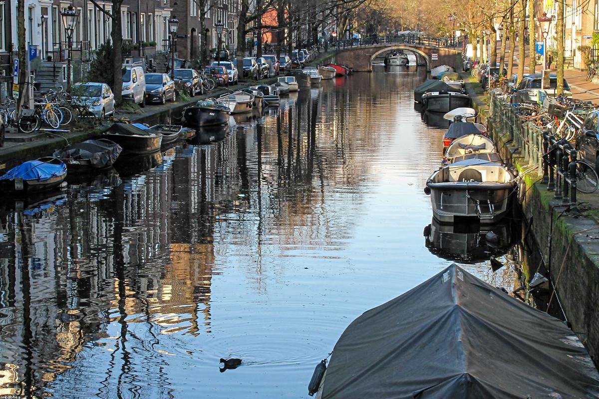 Amsterdam's canals and narrow houses