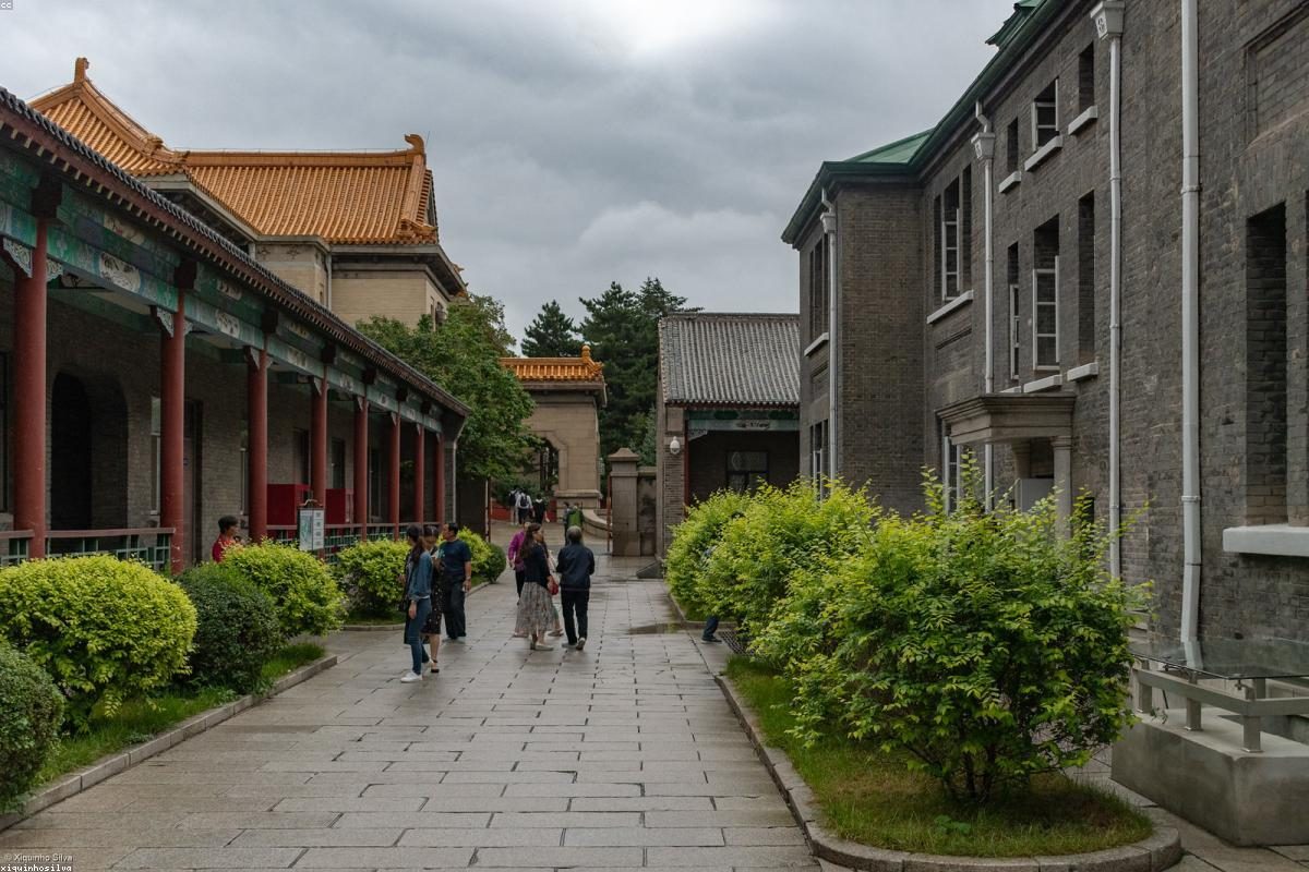 吉林深度旅行全攻略：江与岛玩法+FAQ
