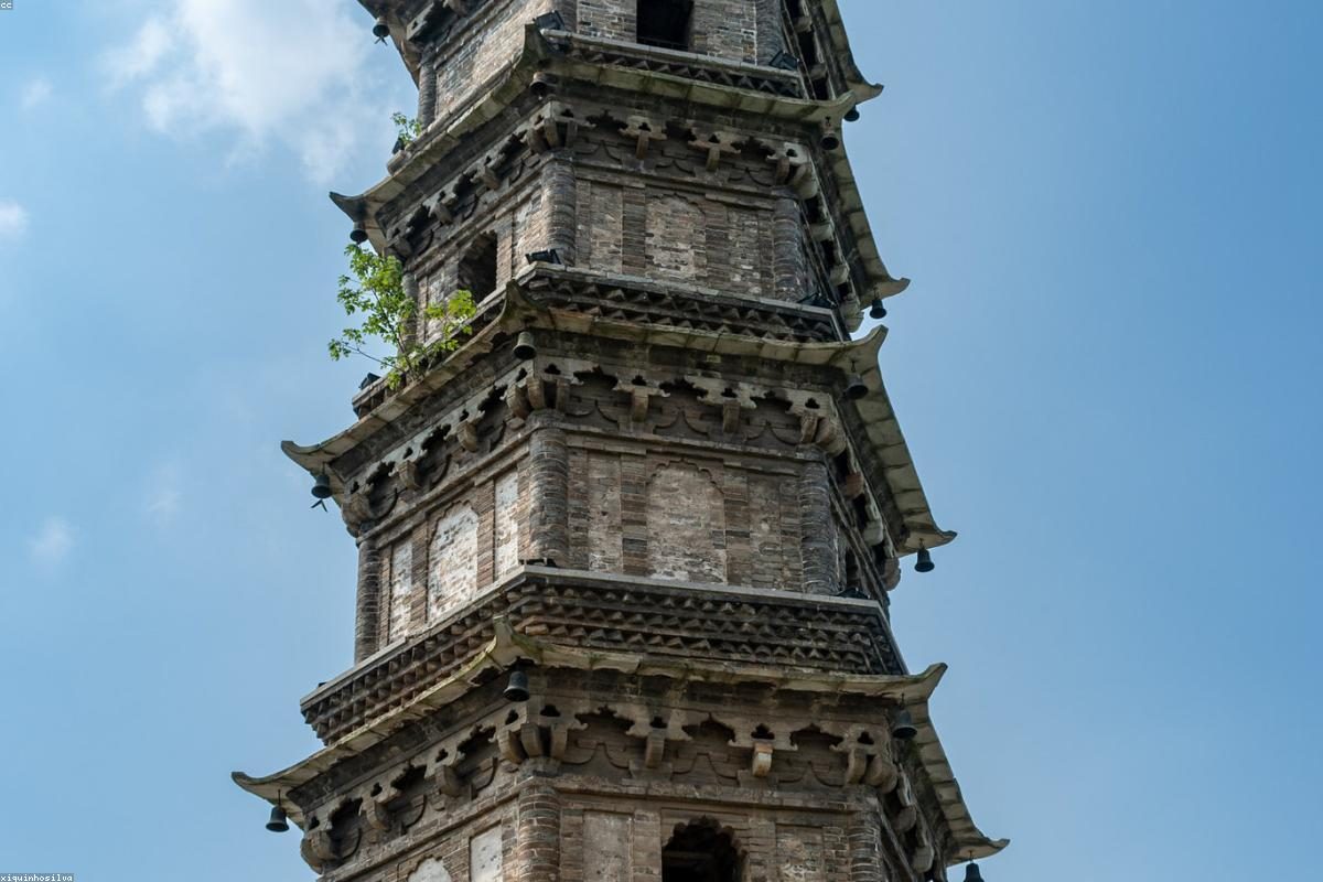 Jiujiang In-Depth Travel Guide: Mountain and Lake Activities + FAQ