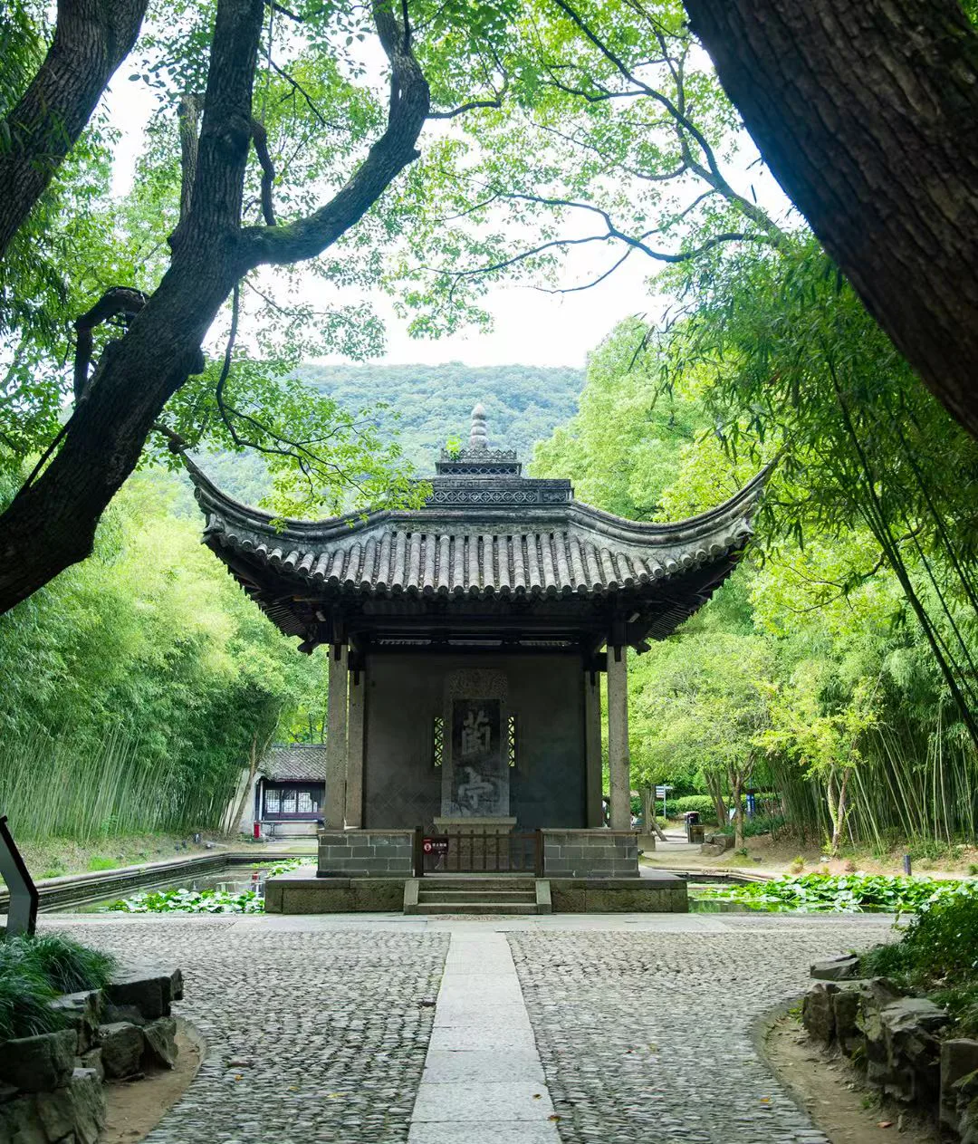 暑期绍兴反向避暑全攻略：按年龄定制的水乡慢游指南 8