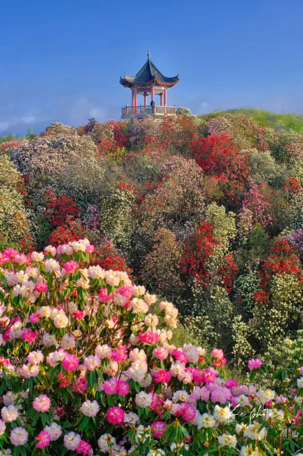 贵州毕节：洞天湖地花海鹤乡乌蒙秘境深度旅行全攻略+FAQ 2