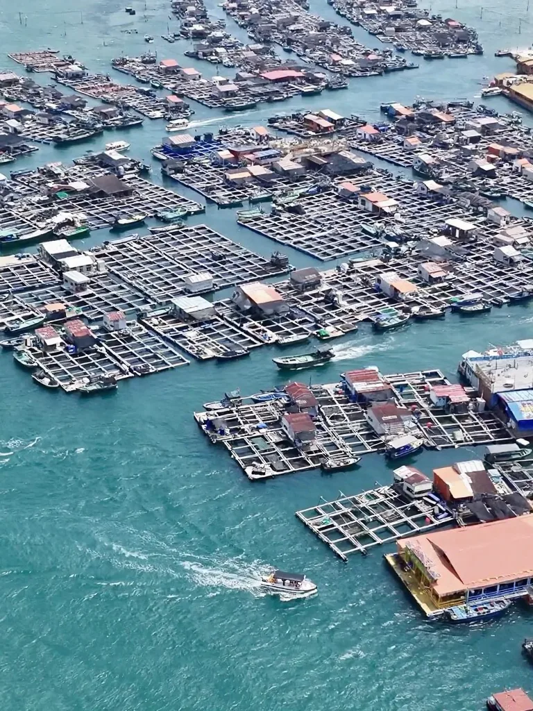陵水…果然漂亮的地方都是免费的(原图合集) 图片 6