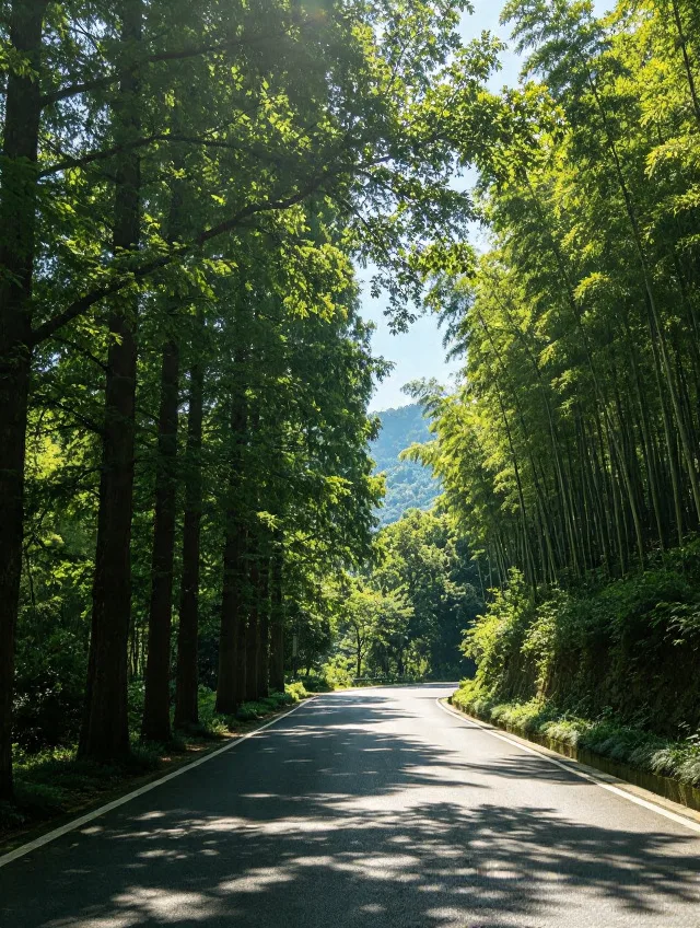 8月8日莫干山实况 图片 3