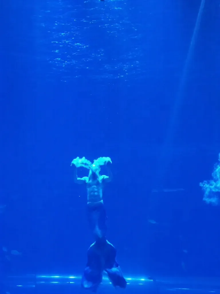 海南海洋欢乐世界,真的不止有海! 图片 7