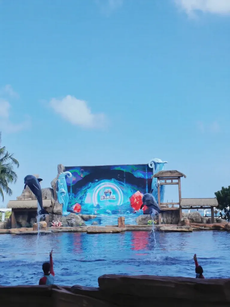 海南海洋欢乐世界,真的不止有海! 图片 10