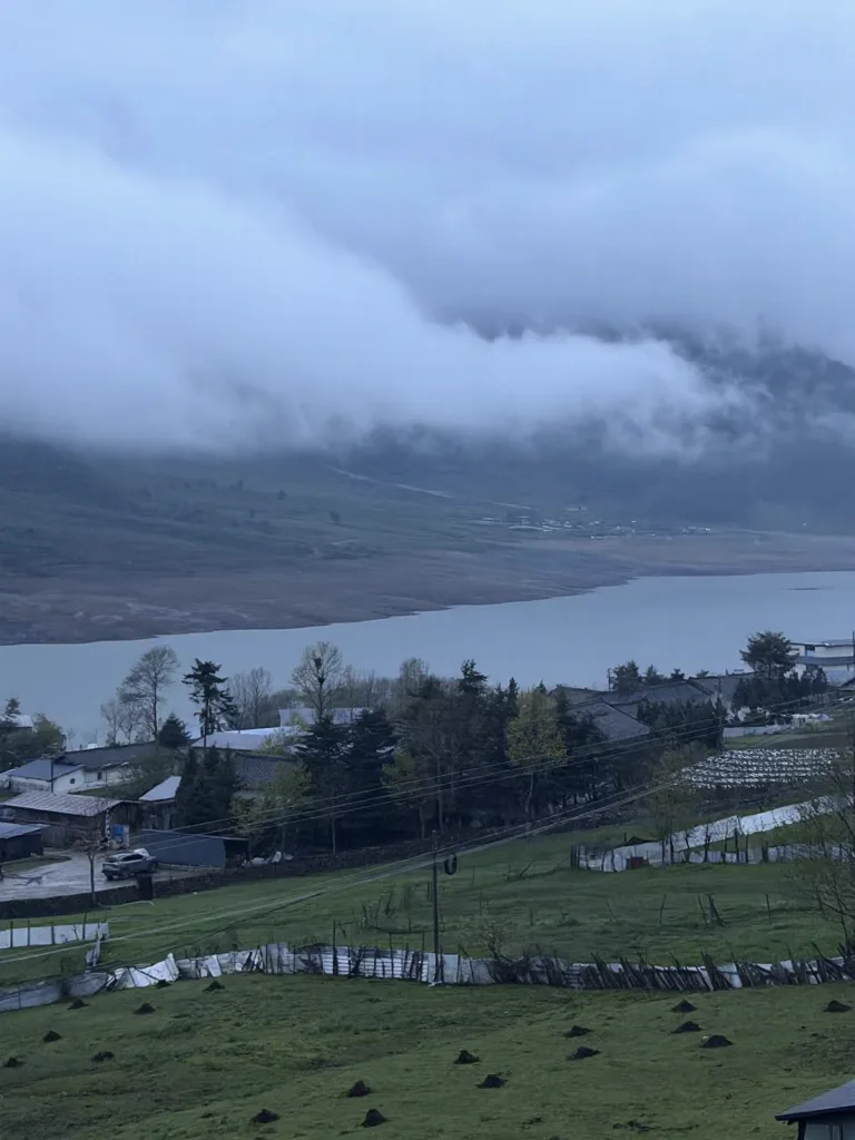 冶勒湖🌧️原来快乐不是天气给的，是小狗给的 图片 2