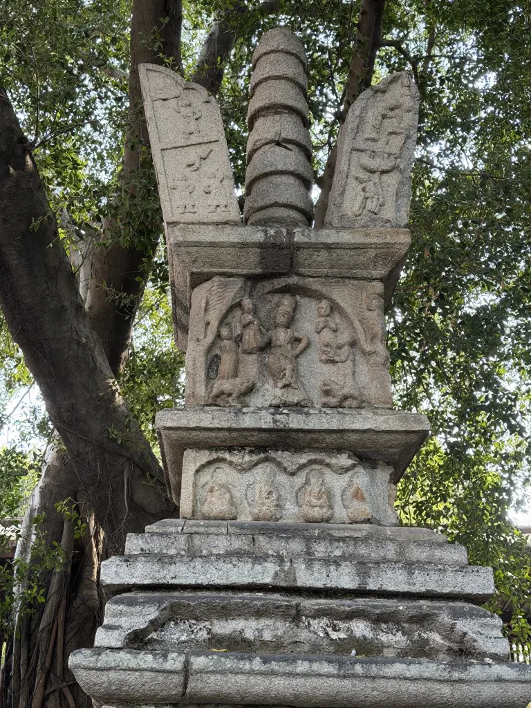 泉州|跟着老李的播客逛开元寺 图片 7