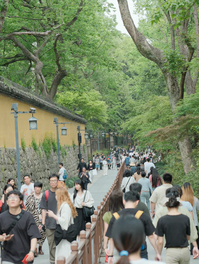 领惜福水请十八籽,灵隐禅意一日游 图片 9