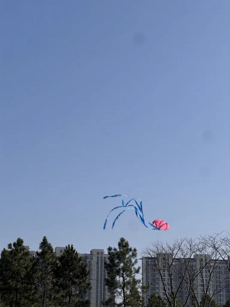 太仓露营天花板！过年躺草坪太舒服☀️ 图片 4