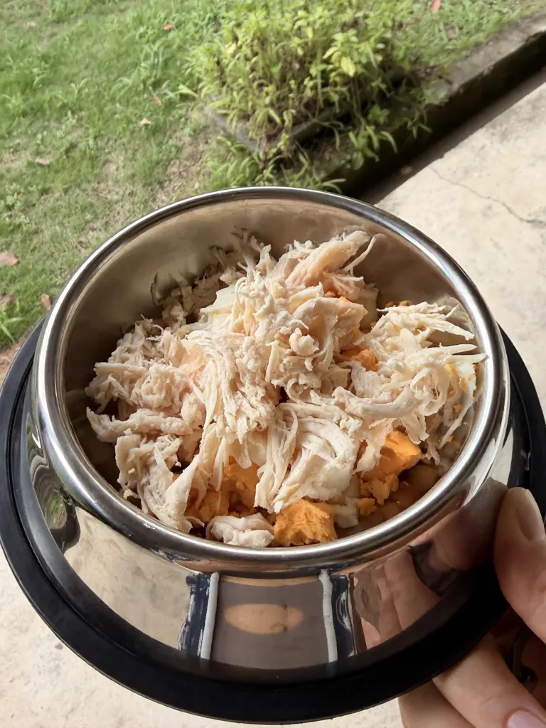 上海出发3h🚗莫干山避暑失败记 图片 5
