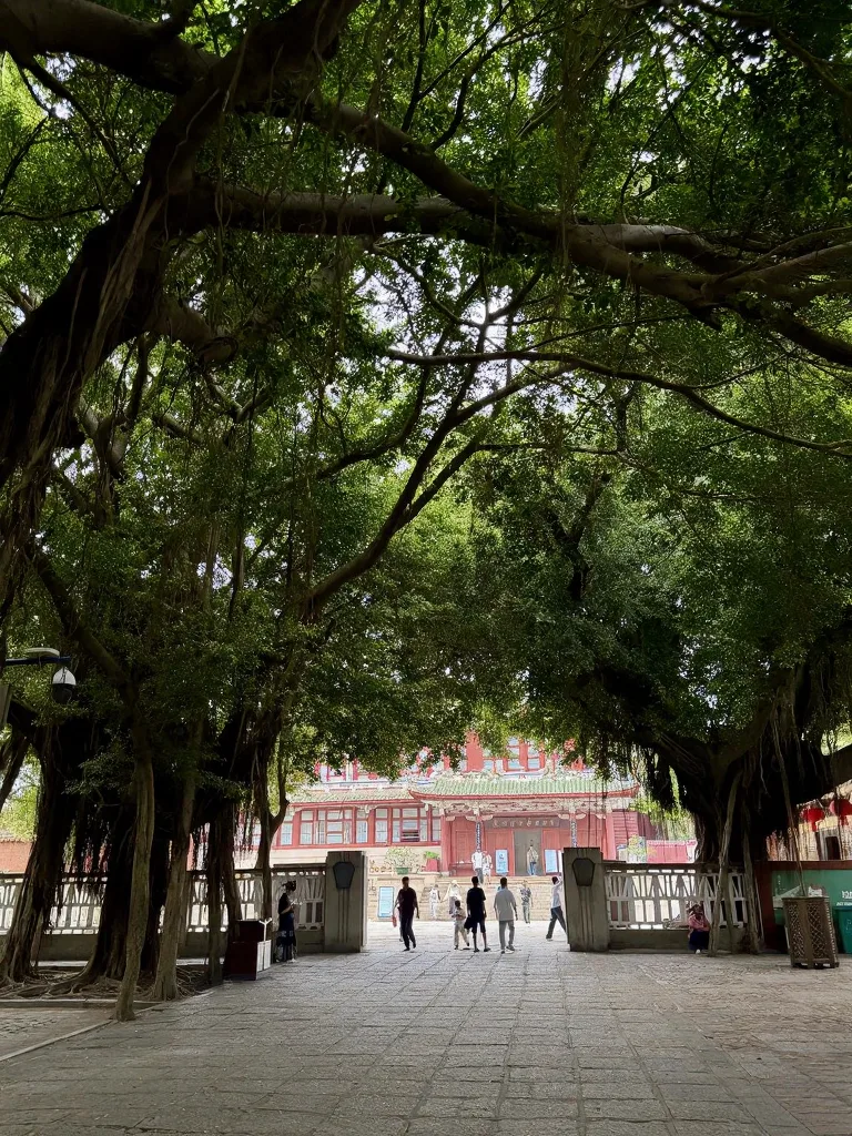 第一次去泉州开元寺｜血泪避坑指南 图片 2