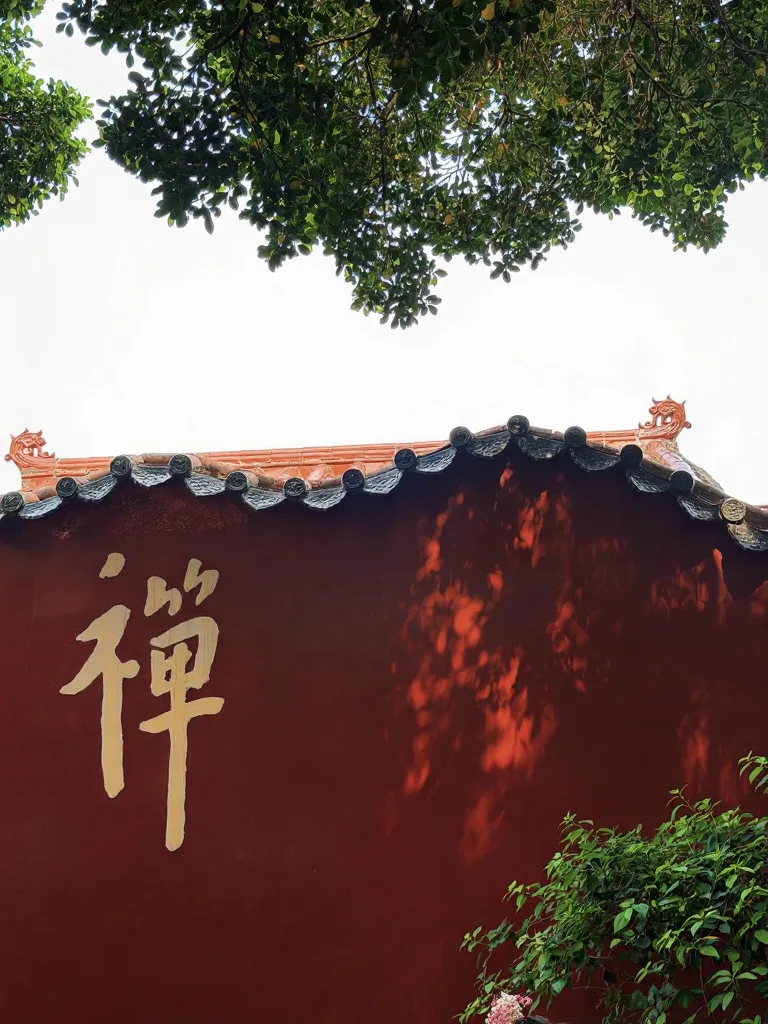 第一次去泉州开元寺｜血泪避坑指南 图片 4