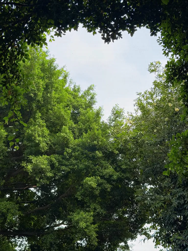 第一次去泉州开元寺｜血泪避坑指南 图片 5