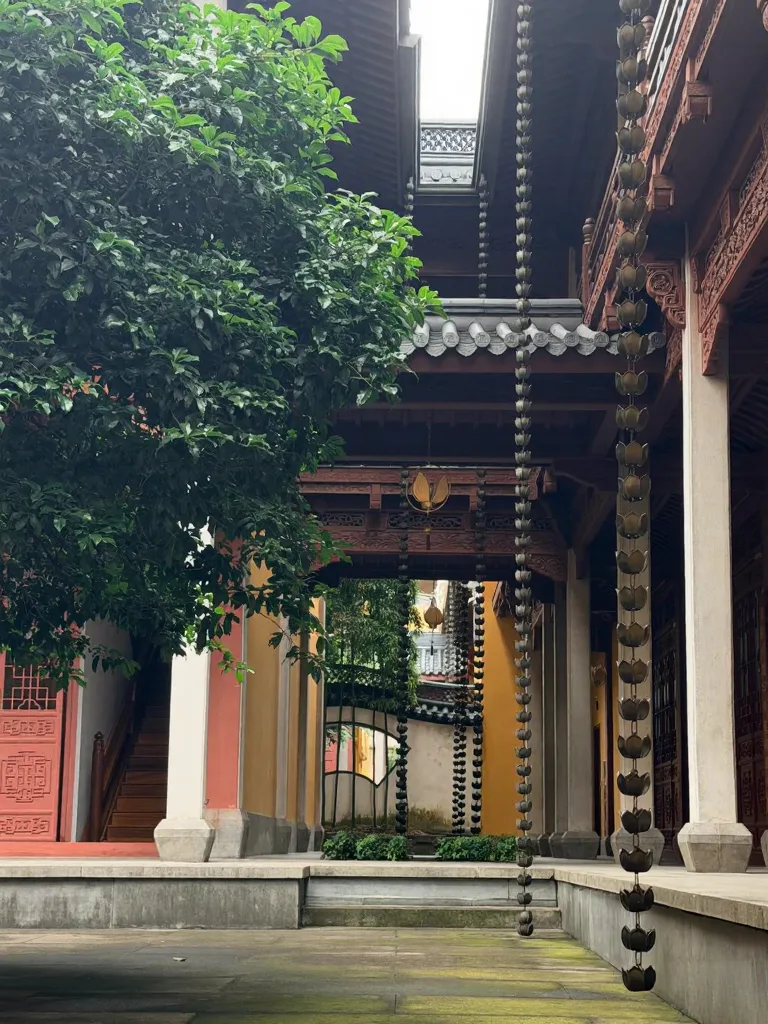 灵隐扫地僧体验｜扫一帚尘埃，得片刻心安 图片 9