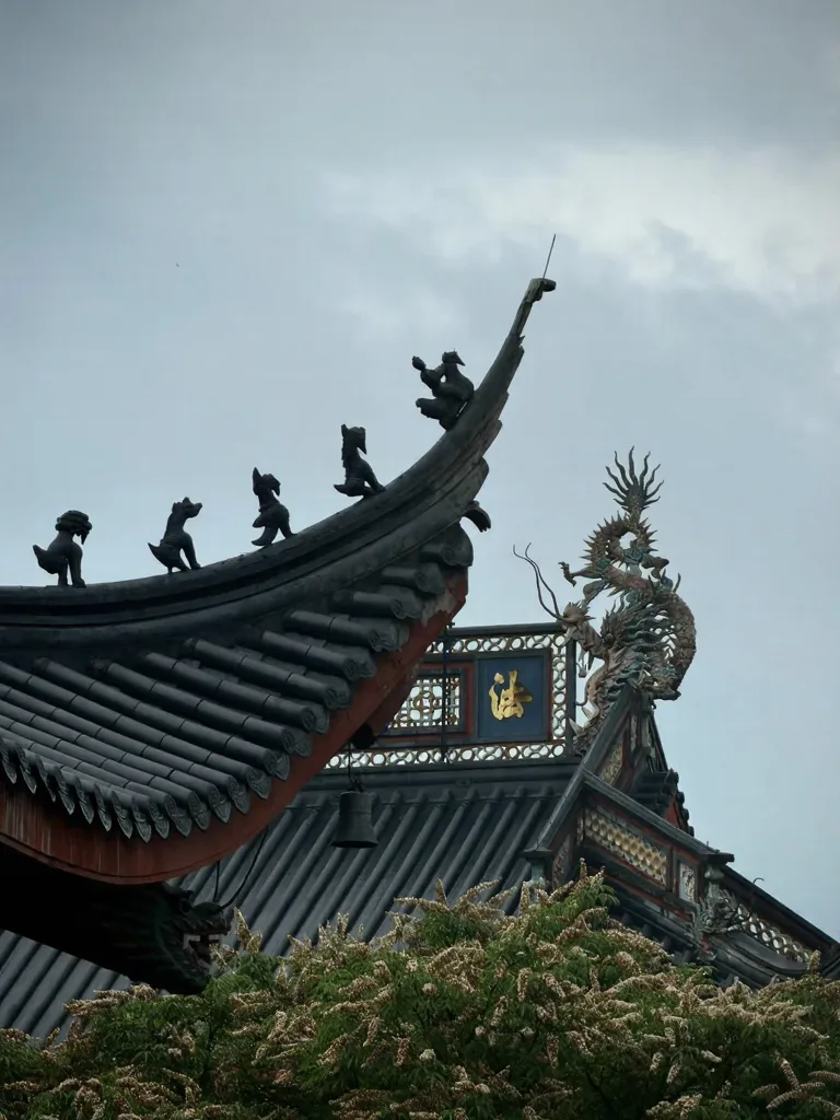 灵隐扫地僧体验｜扫一帚尘埃，得片刻心安 图片 15