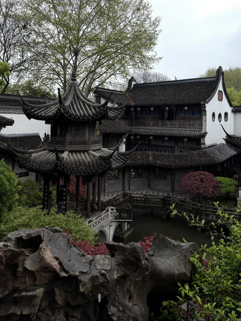 杭州就是个巨型绿色能量场,能量低的都来走走! 图片 7