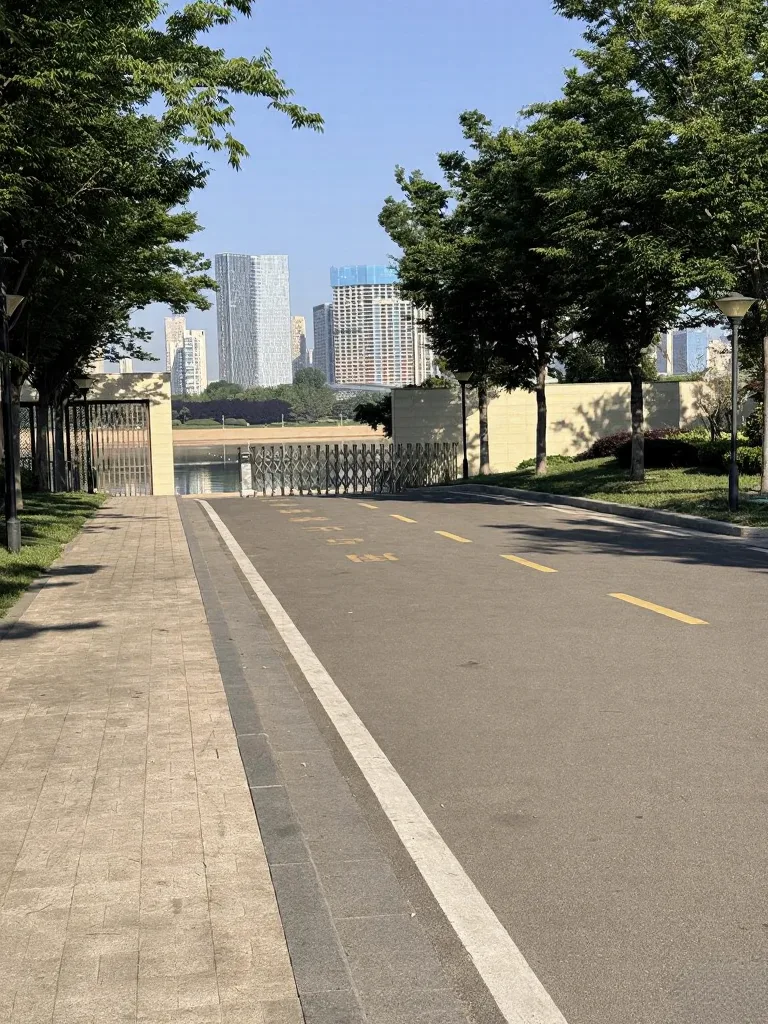 带狗自驾日照真实体验 图片 4