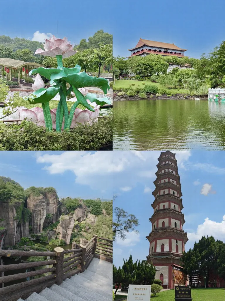 陪老妈祈福,却闯入了荷花仙境🪷 图片 3