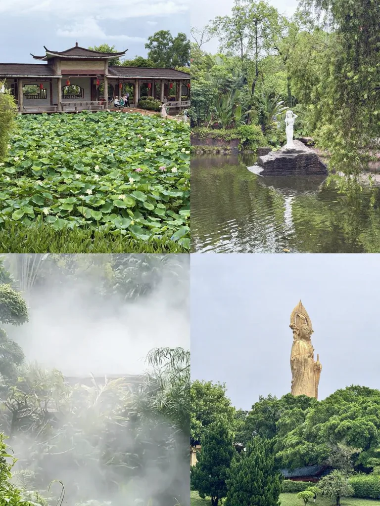 陪老妈祈福,却闯入了荷花仙境🪷 图片 4