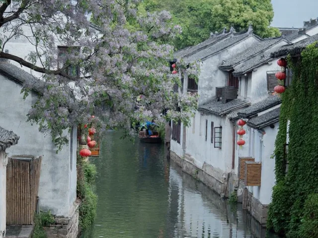 周庄深度游攻略,解锁画里江南 图片 4