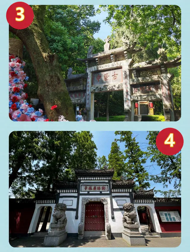 不挤不贵！8️⃣座城亲测零差评，哪个最治愈？ 图片 2