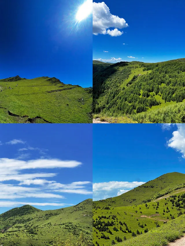 🍃天水返程分享｜7-8月遛娃清凉人文两不误 图片 4