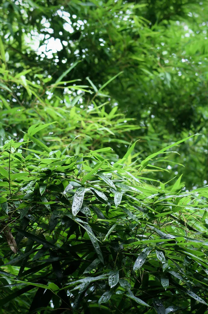 📍长兴 72小时躺平攻略,人少景美太安逸 图片 7