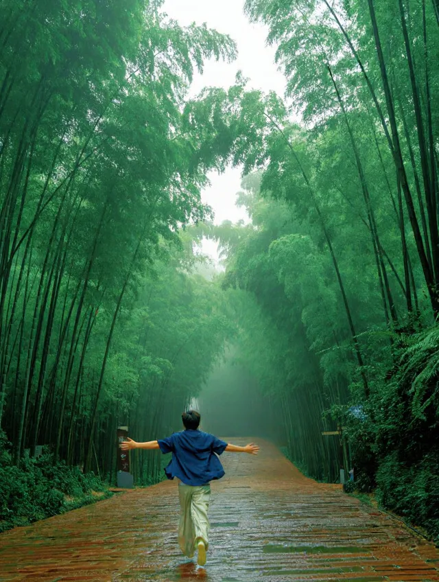 蜀南竹海24℃避暑🍃懒人直接冲！ 图片 2
