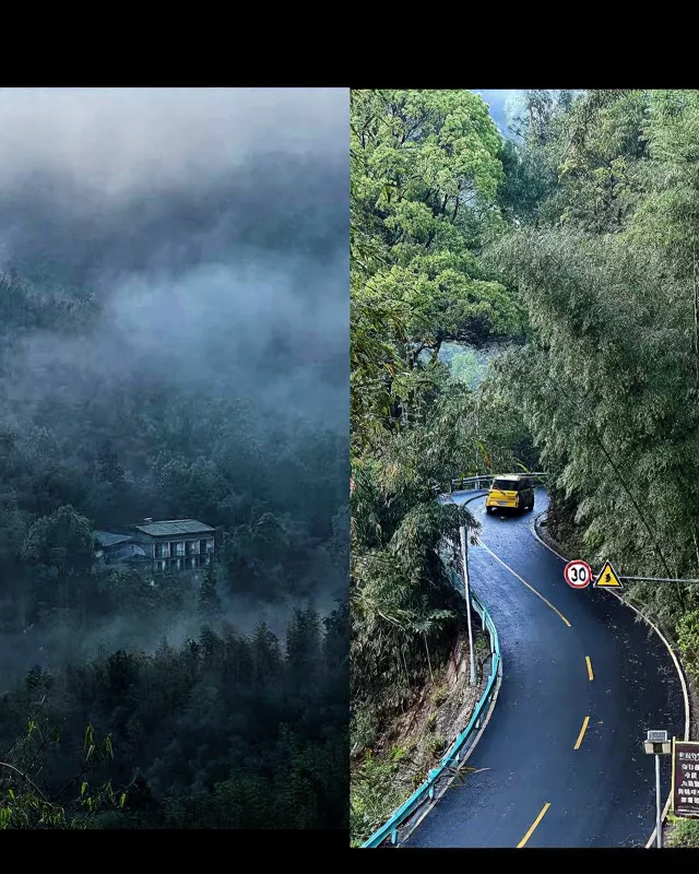 蜀南竹海24℃避暑🍃懒人直接冲！ 图片 3