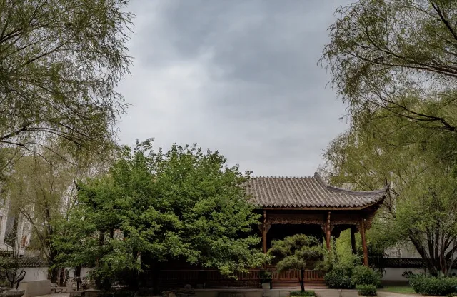 来银川找芙蓉古城,差点一头扎进居民小区😂 图片 4