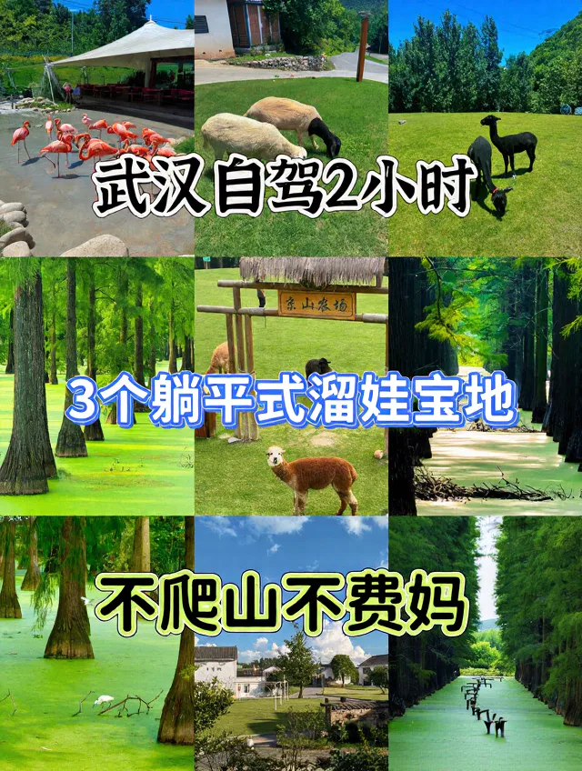 武汉自驾2h✨躺平式遛娃宝地，不爬山不费妈