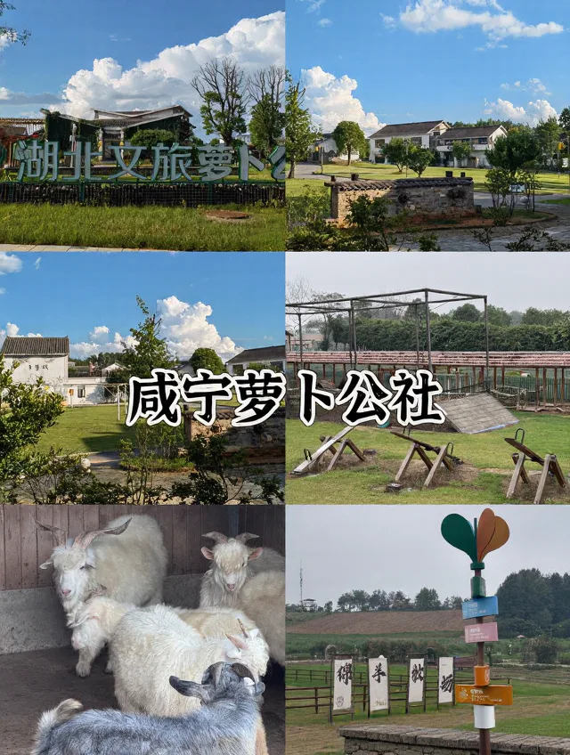 武汉自驾2h✨躺平式遛娃宝地，不爬山不费妈 图片 2