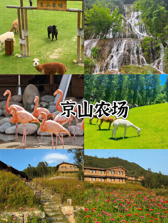 武汉自驾2h✨躺平式遛娃宝地，不爬山不费妈 图片 4
