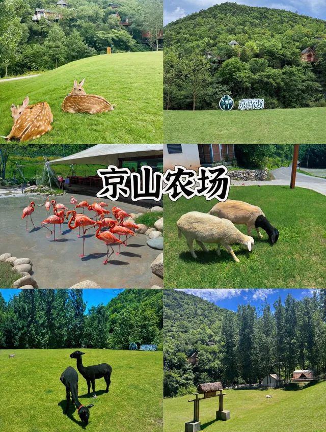 武汉自驾2h✨躺平式遛娃宝地，不爬山不费妈 图片 5