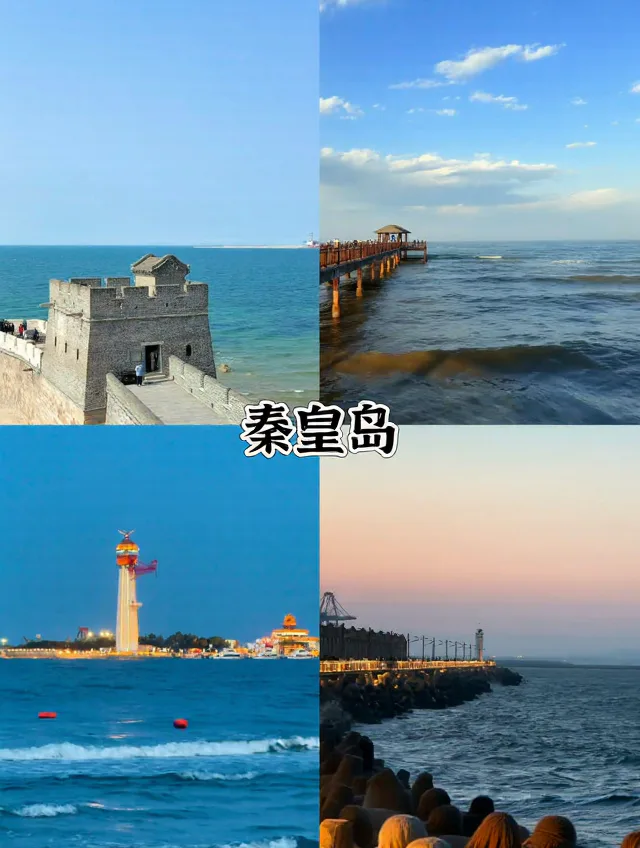 带娃赶海,这四个躺平式遛娃地绝了! 图片 3
