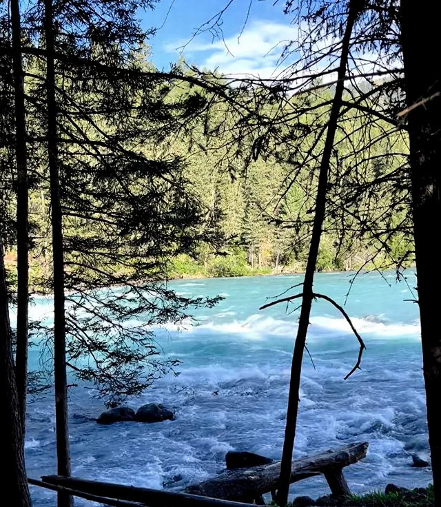 奔赴喀纳斯！找寻藏在阿尔泰山里的人间净土🏞️ 图片 9
