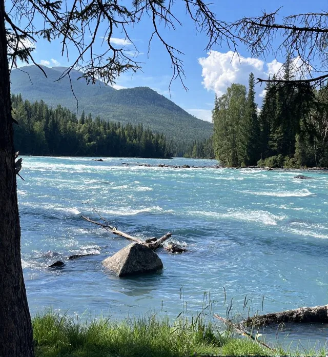 奔赴喀纳斯！找寻藏在阿尔泰山里的人间净土🏞️ 图片 10