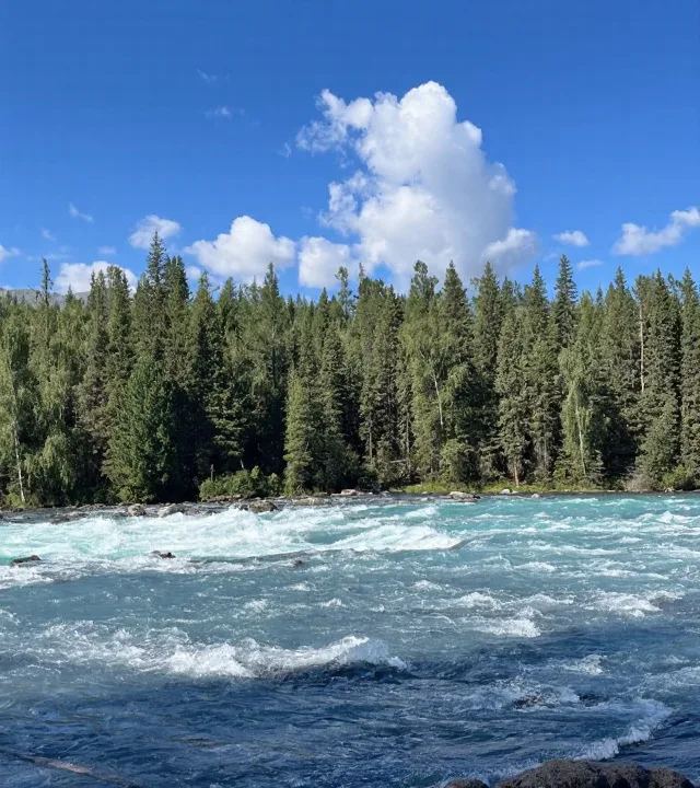 奔赴喀纳斯！找寻藏在阿尔泰山里的人间净土🏞️ 图片 11