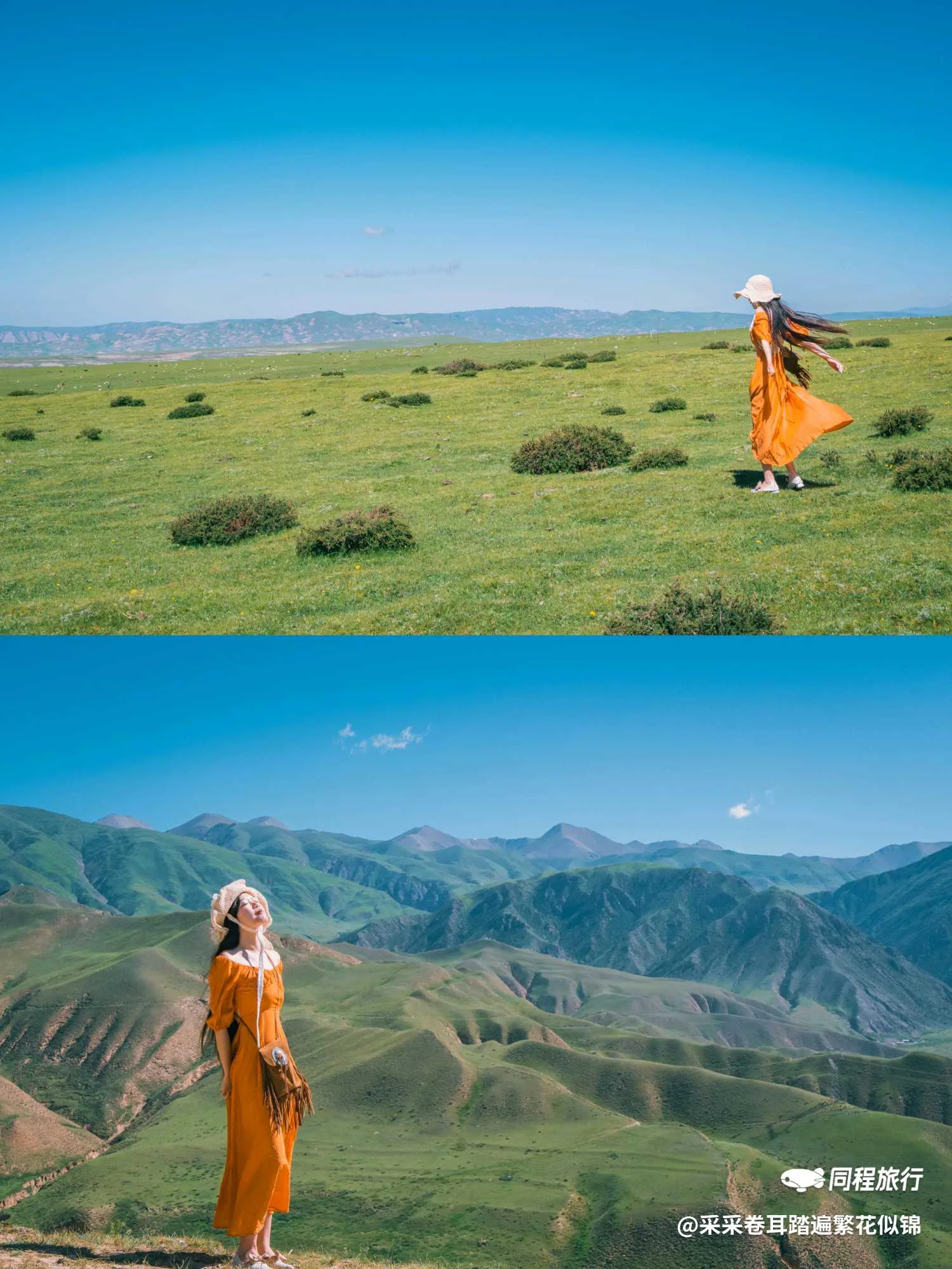 如果你自驾路过，请为贵德这座云端草原停车 图片 2