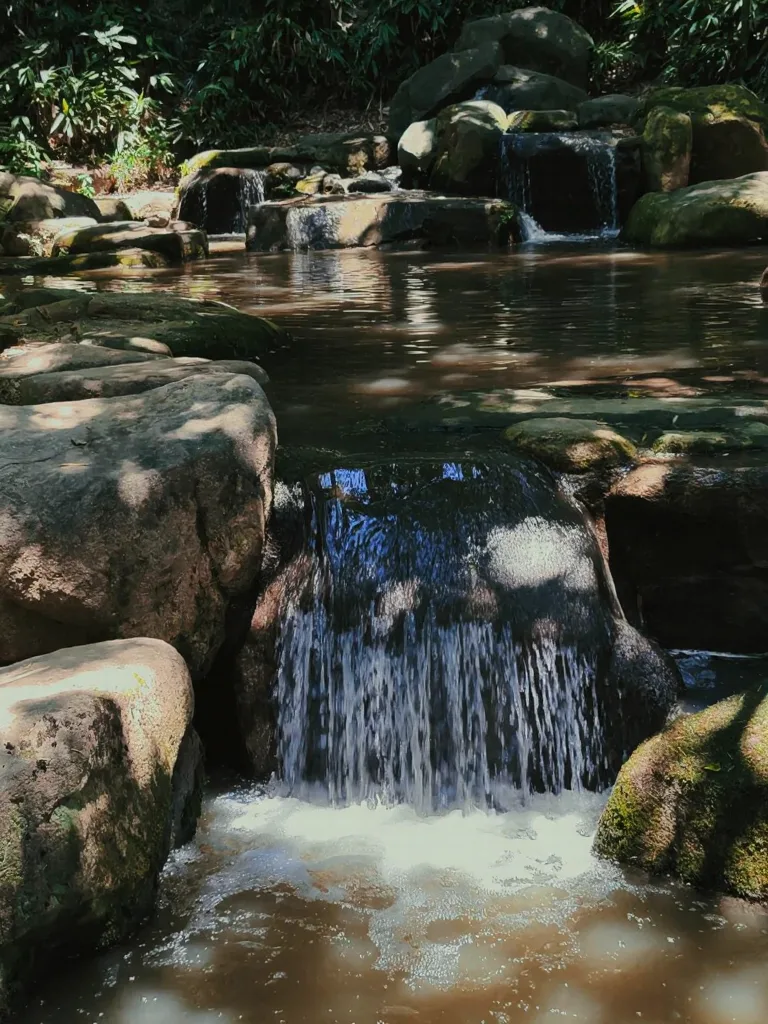 苏州虎丘 solo trip,东坡没骗我⛰️ 图片 8