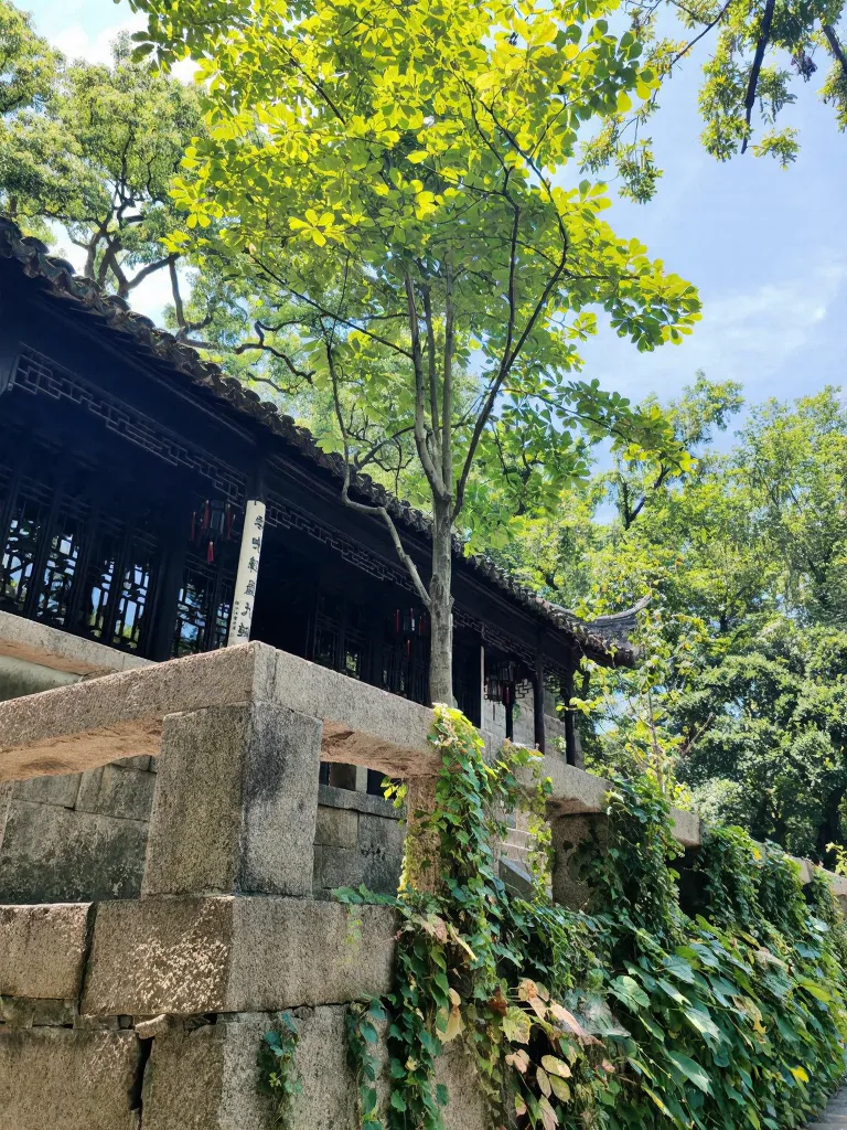 苏州虎丘 solo trip,东坡没骗我⛰️ 图片 10