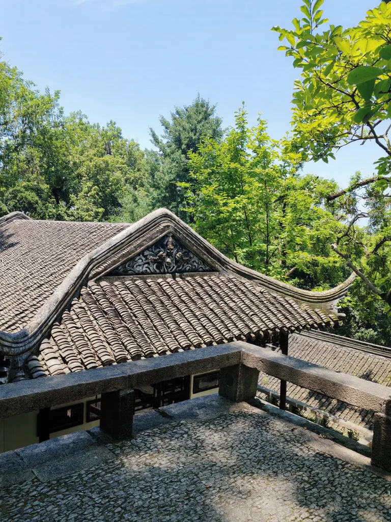 苏州虎丘 solo trip,东坡没骗我⛰️ 图片 14