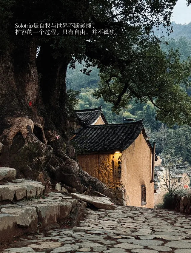 松阳 Solo Trip 实录｜一个人旅行真会上瘾💗 图片 7
