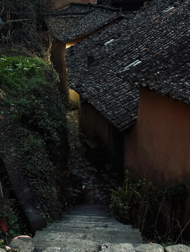 松阳 Solo Trip 实录｜一个人旅行真会上瘾💗 图片 10