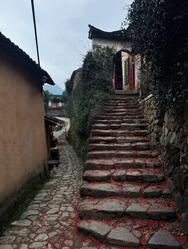 松阳 Solo Trip 实录｜一个人旅行真会上瘾💗 图片 11