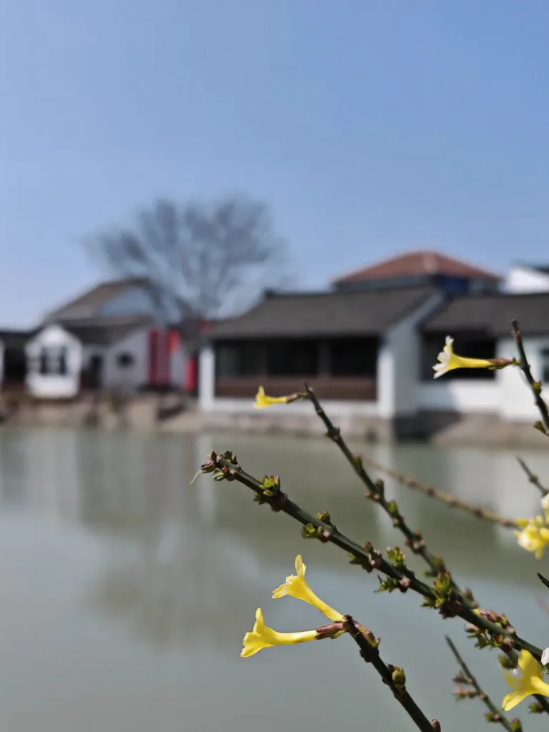 别去周庄！这个免费的苏州古镇才是真江南🍃 图片 6