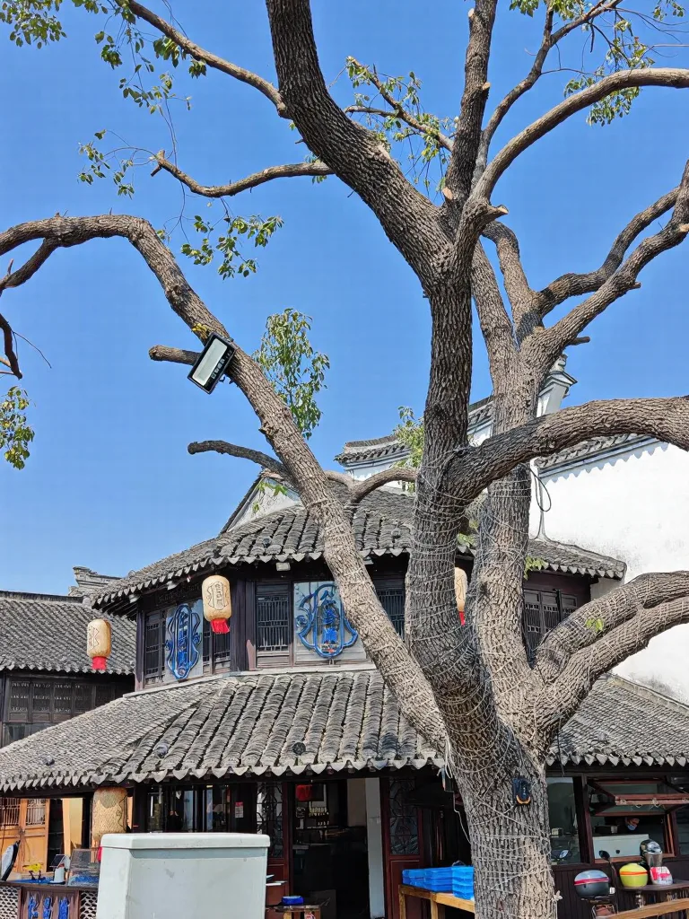 别去周庄！这个免费的苏州古镇才是真江南🍃 图片 11